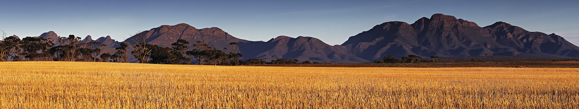 Regional Western Australia