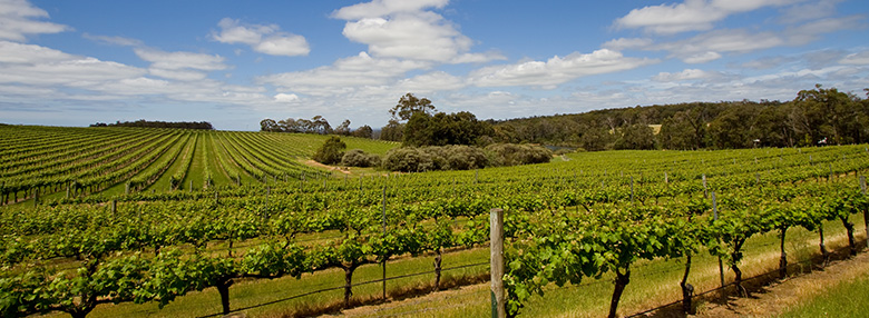 Great Southern banner