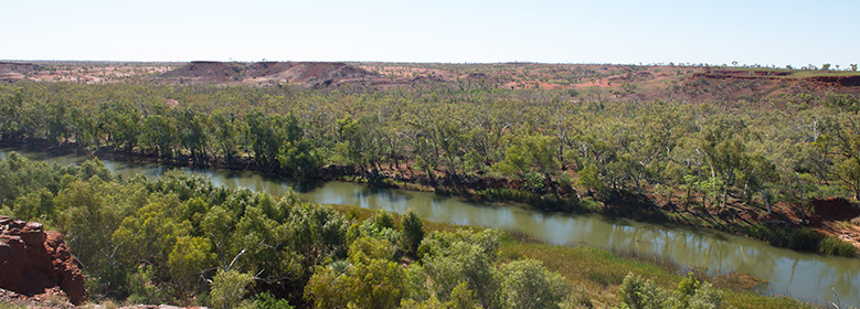 Pilbara banner