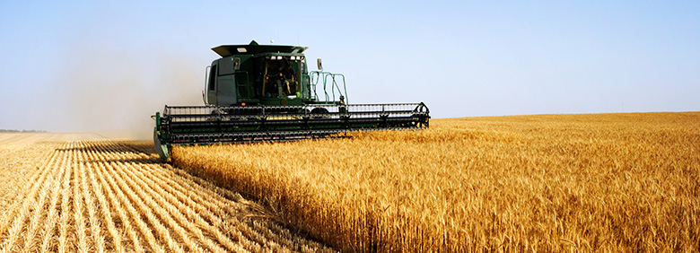 Wheatbelt banner